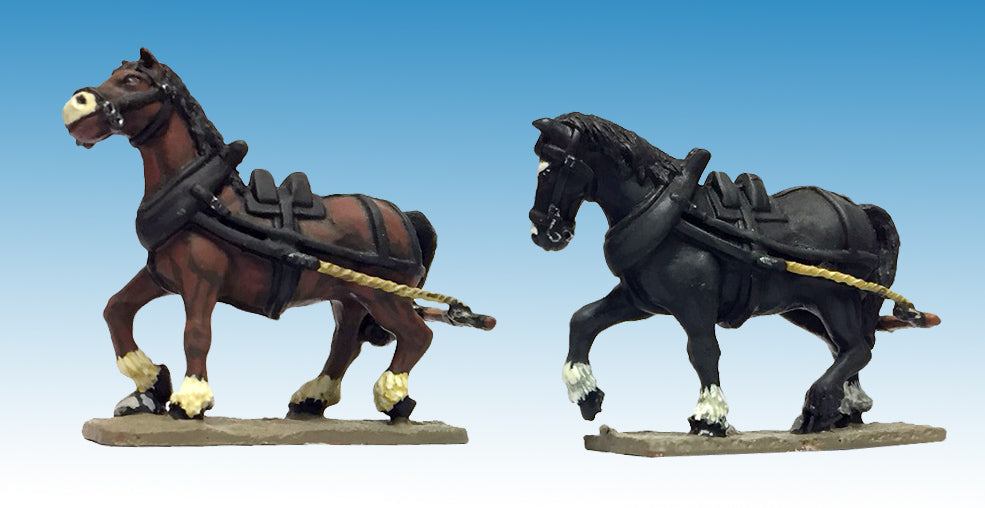 CART HORSES – TEAM OF TWO